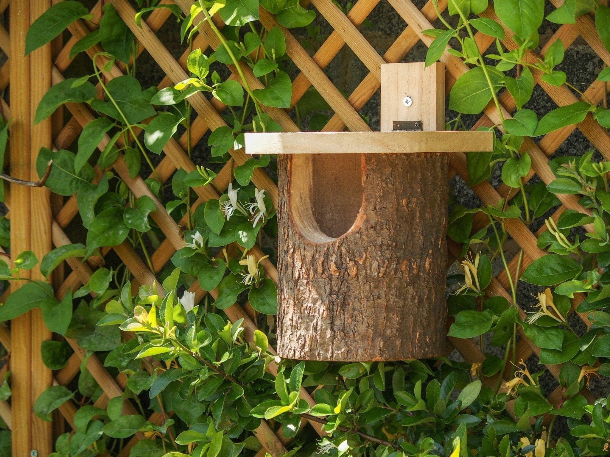 Bjælke-fuglehus - stor indgang - Blomsterverden